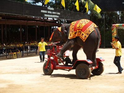 ��ҧ�պ������