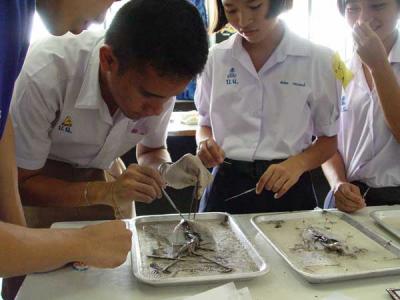 ���ѧ������