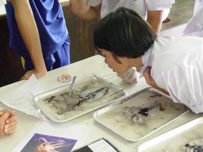 ���������������� "����ͧ㹻����֡"