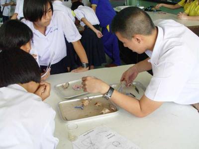 �Ҵ�����ͧ㹡�駡ѹ���