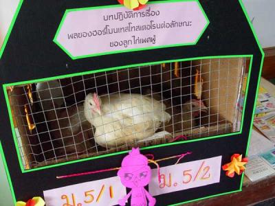 �跴�ͧ ���������