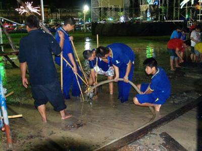 ���¡ѹ������������