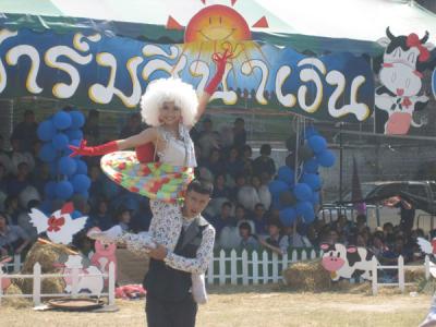 ˹ѡ��������