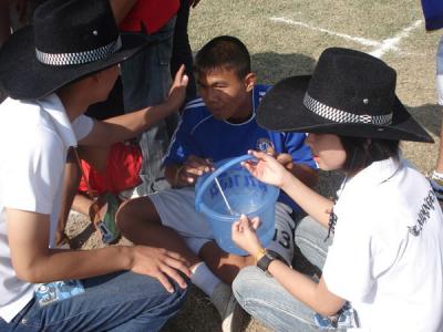 �չ���Թ�������