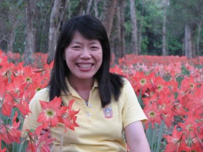 �ҧ������Ծ�  �Եû���Է������ �ա���֡��  2524