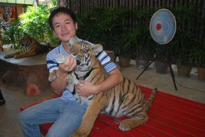 �ѵ������§�ͧ������