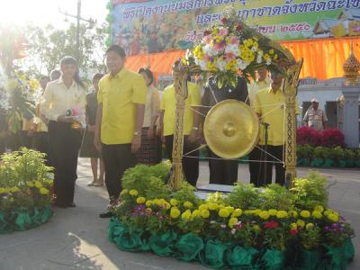 ������զ�ͧ