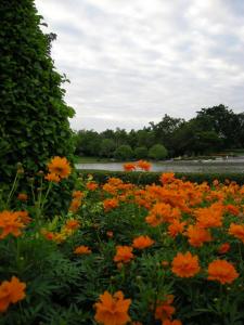 ����ͧ�ҡ�仢�ҧ�͡