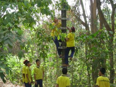 �չ�����