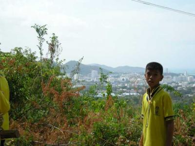 �ش�����