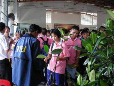 �Ѻ�鹡������任�١