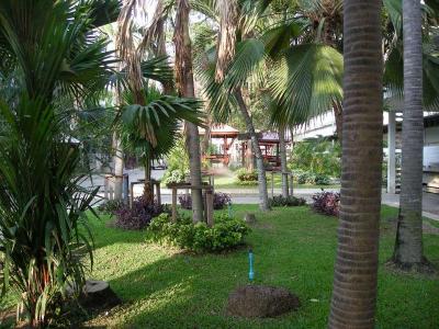 �ա�����ǹ���