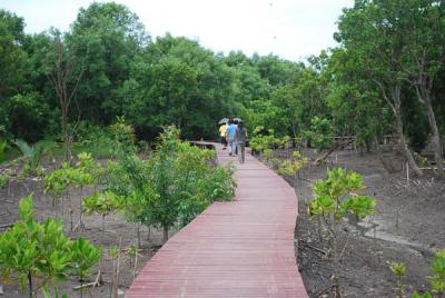 �ҧ�Թ�����ºʧ�