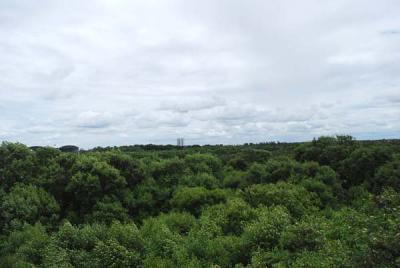 �ͧ�ҡ���ͤ��