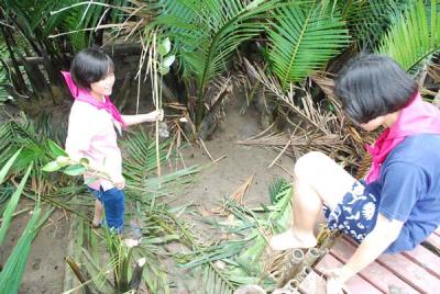 ������ ���ѧ