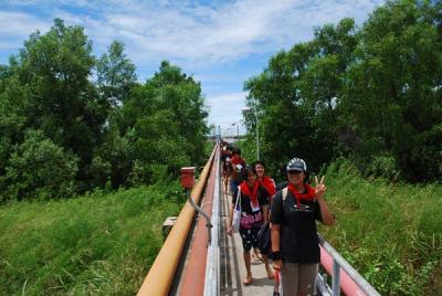 �оҹ�������