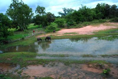 �����آ�ͧ����