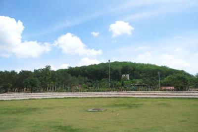 ������������