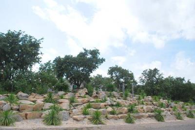 �ͧ��ҹ˹��������ѡ�ͧ�١����