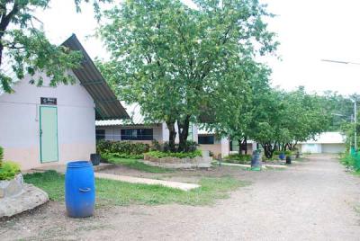 ��������ҹ�ѡ