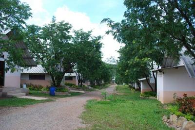 �ҧ�Թ��ҹ��ҹ