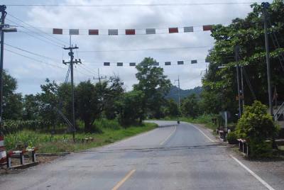 ���仵����鹷ҧ�ǡ����-��ӵ�����ǹ���