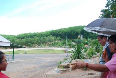 �ͧ�ҷҧ��ҹ˹��