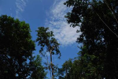 �����ҵ�...���..������