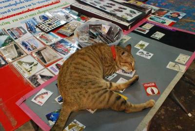 ��ͧ��Ǣ�¢ͧ����Ѻ