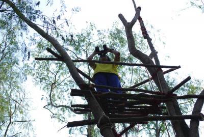 ������ʹ�����..