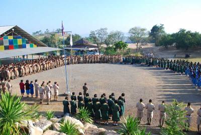 ������º���º����