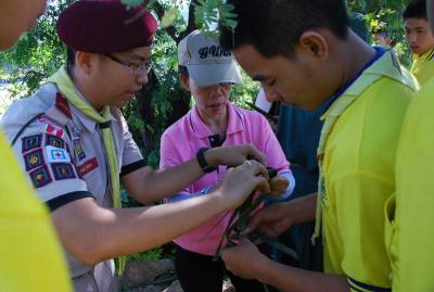 ʹ��ҹ��ҵ���¹