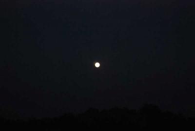 �����Ӥ׹..��Шѹ����