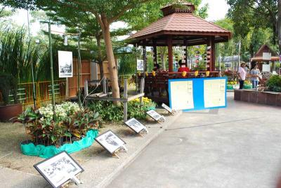 ��ǹ��¡��ѧ�����º����