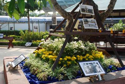 �ٻ��ҷ���ʴ�