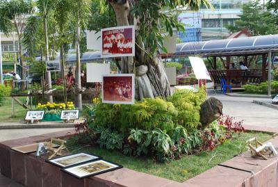 �ǹ��¹����������