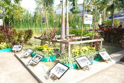 ����ҽҡ�ѹ����