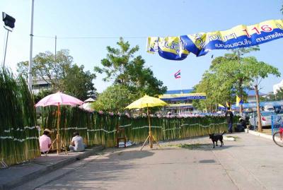 ���ǡ���������������