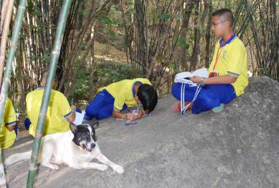 ����������¹ .. ��ͧ�������Ҵ���