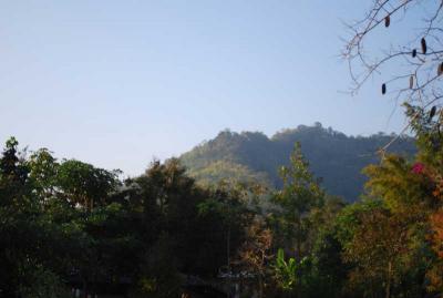 �ʹ����ѧ������������