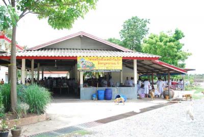 �ç�����