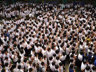 ����������¹�