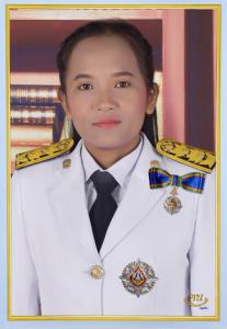 ��ٹԪ��ѷ�  ��ըѹ���