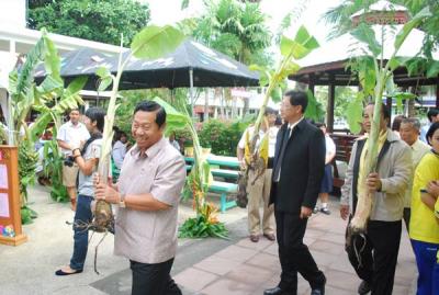 任�١�����