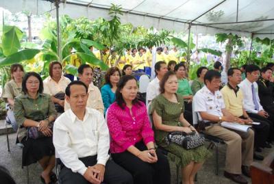 ���͢����������ҹ�ѹ�֡�ѡ