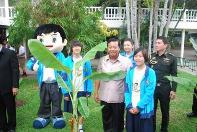 �Ҷ����ٻ�ѹ