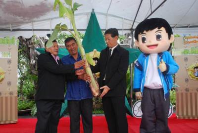 �ͺ�����任�١