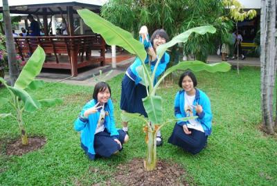 �������͹���